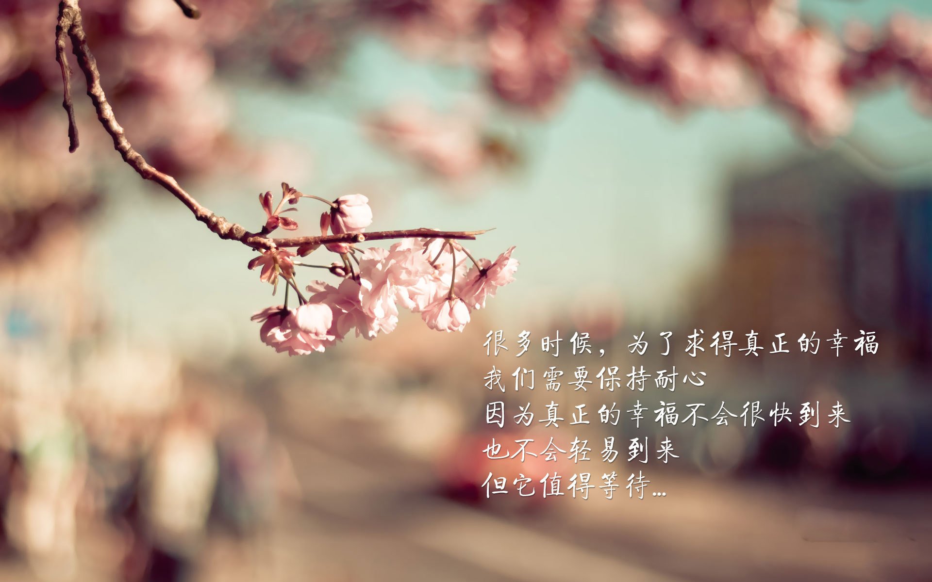 2024年印度队表现:勇于迎战,逐步成长为世界级队伍,二零二一年印度