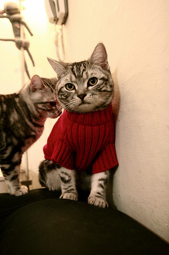 博卡替补前锋错失绝佳得分机会，博卡vs