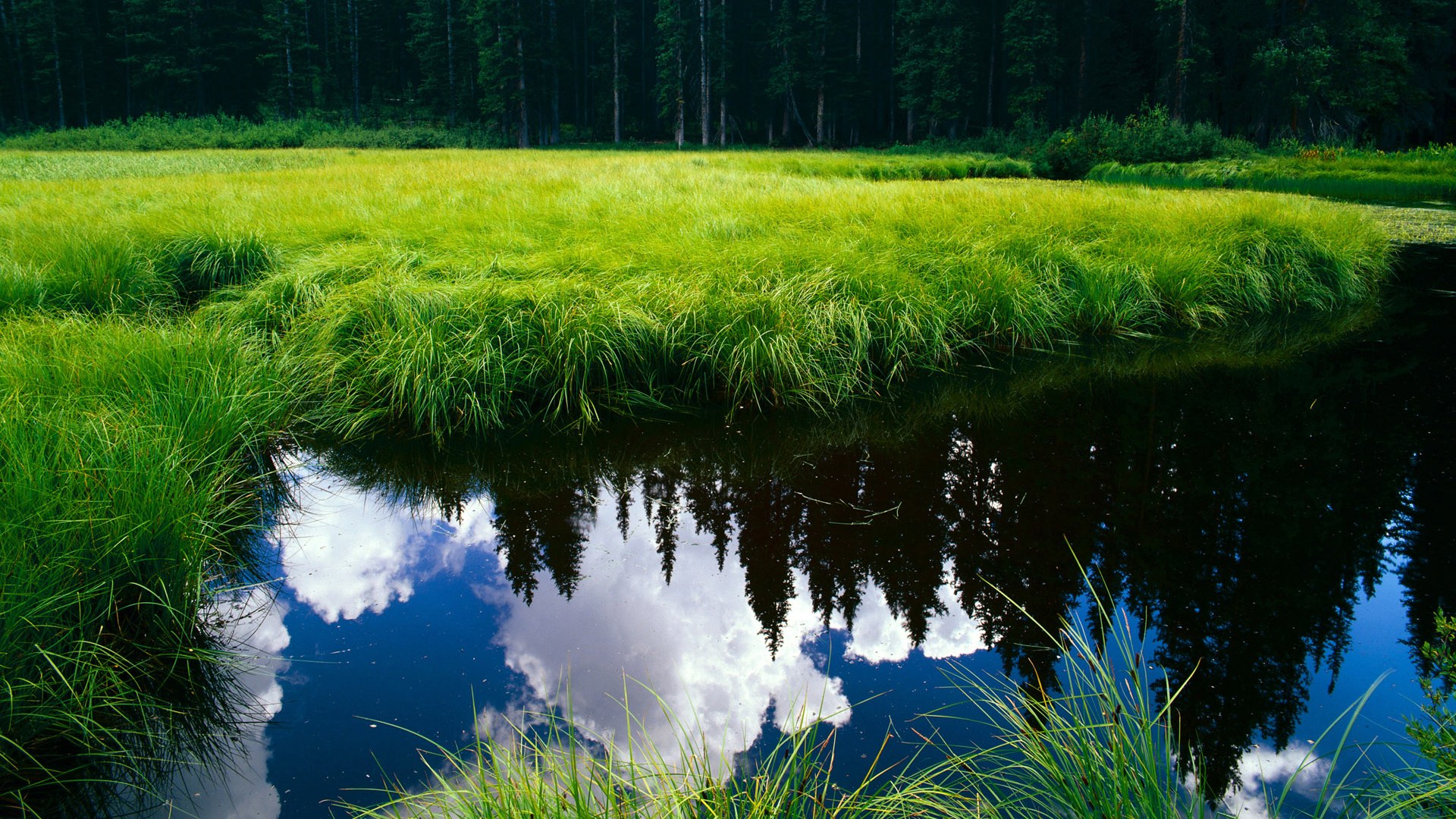 博卡替补前锋错失绝佳得分机会，博卡vs