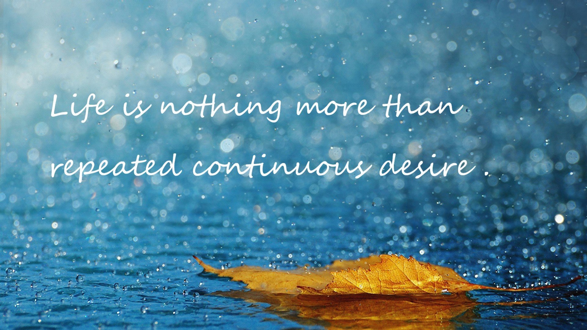 大数据驱动运动员表现提升,问题_大数据驱动下的体育究竟是风险还是不确定事件