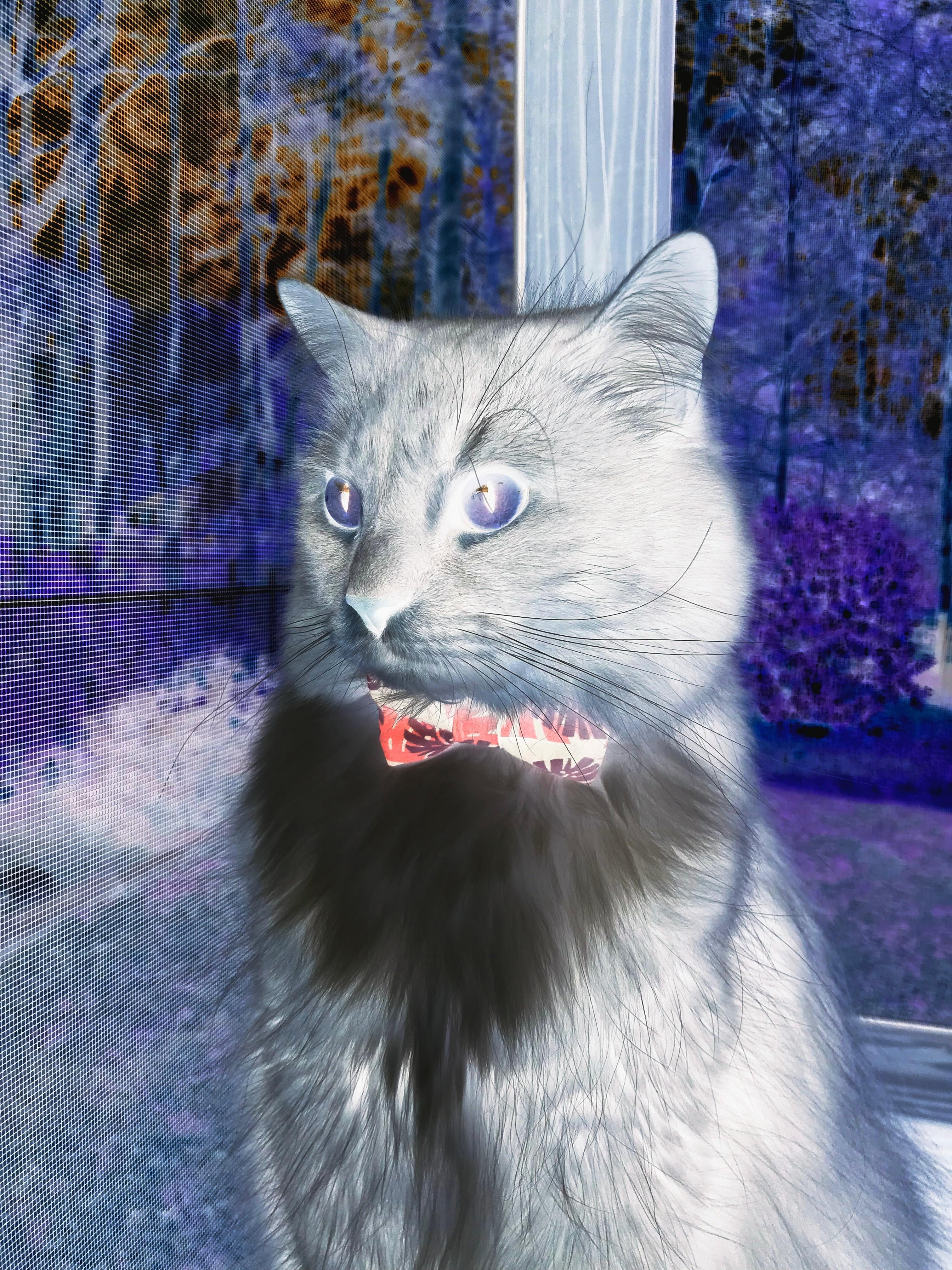 华体会登录最新地址-心理素质决定胜负的关键瞬间，心理素质重要