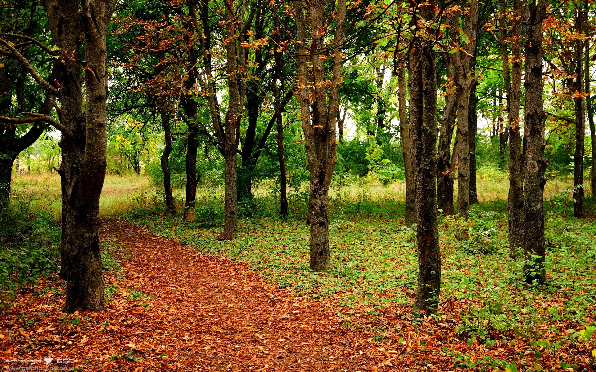 新加坡队在国际乒联混合团体世界杯中的表现与技术突破，新加坡乒乓球世界排名