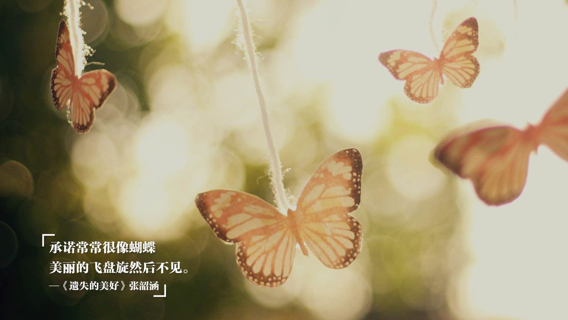 校园体育美育融合实践案例在全国推广，校园体育美育融合实践案例在全国推广的意义