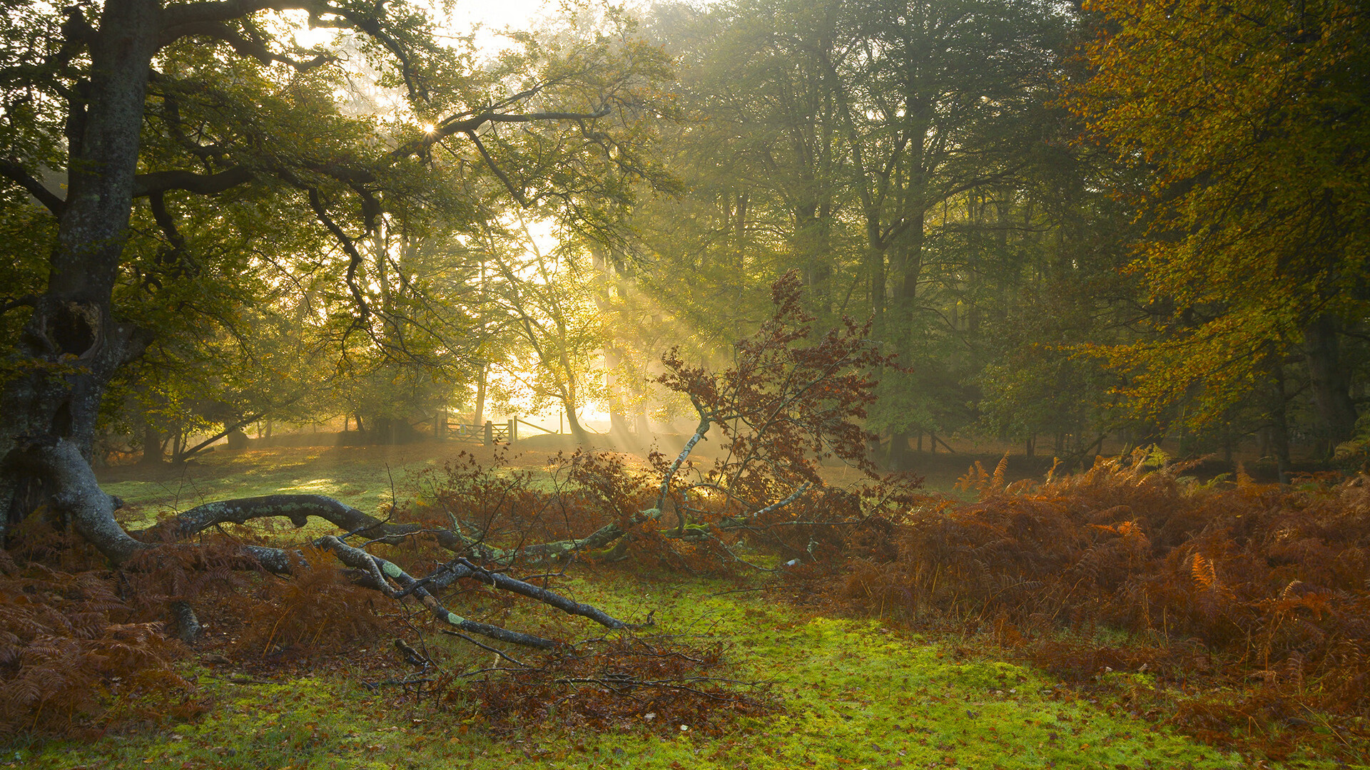 联盟中节奏最佳的后场搭档盘点，联盟最强得分后卫