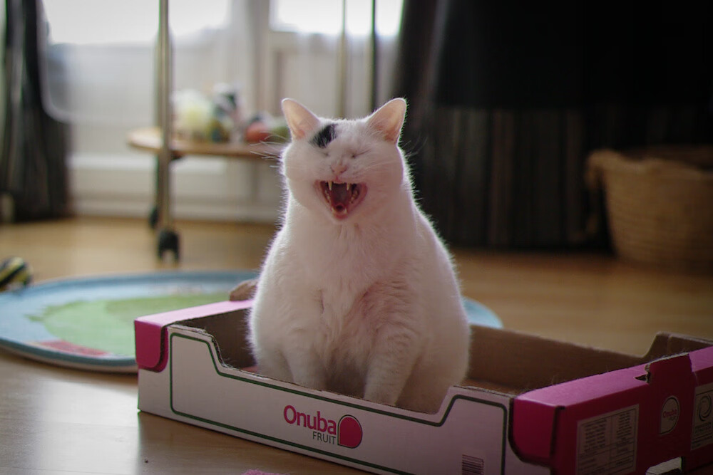 训练场地使用效率提升推动资源共享,训练场地技术说明