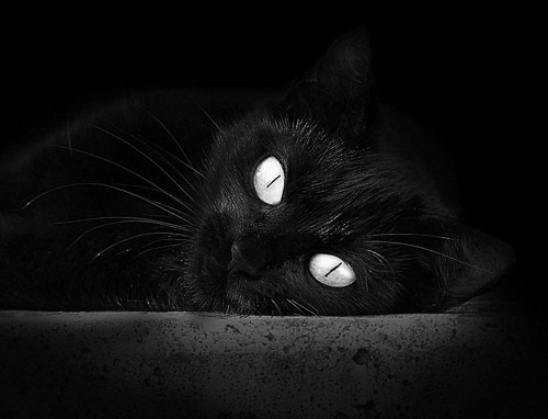 华体会登录-76人安排团队心理沙龙增强球员抗压能力，76人组合