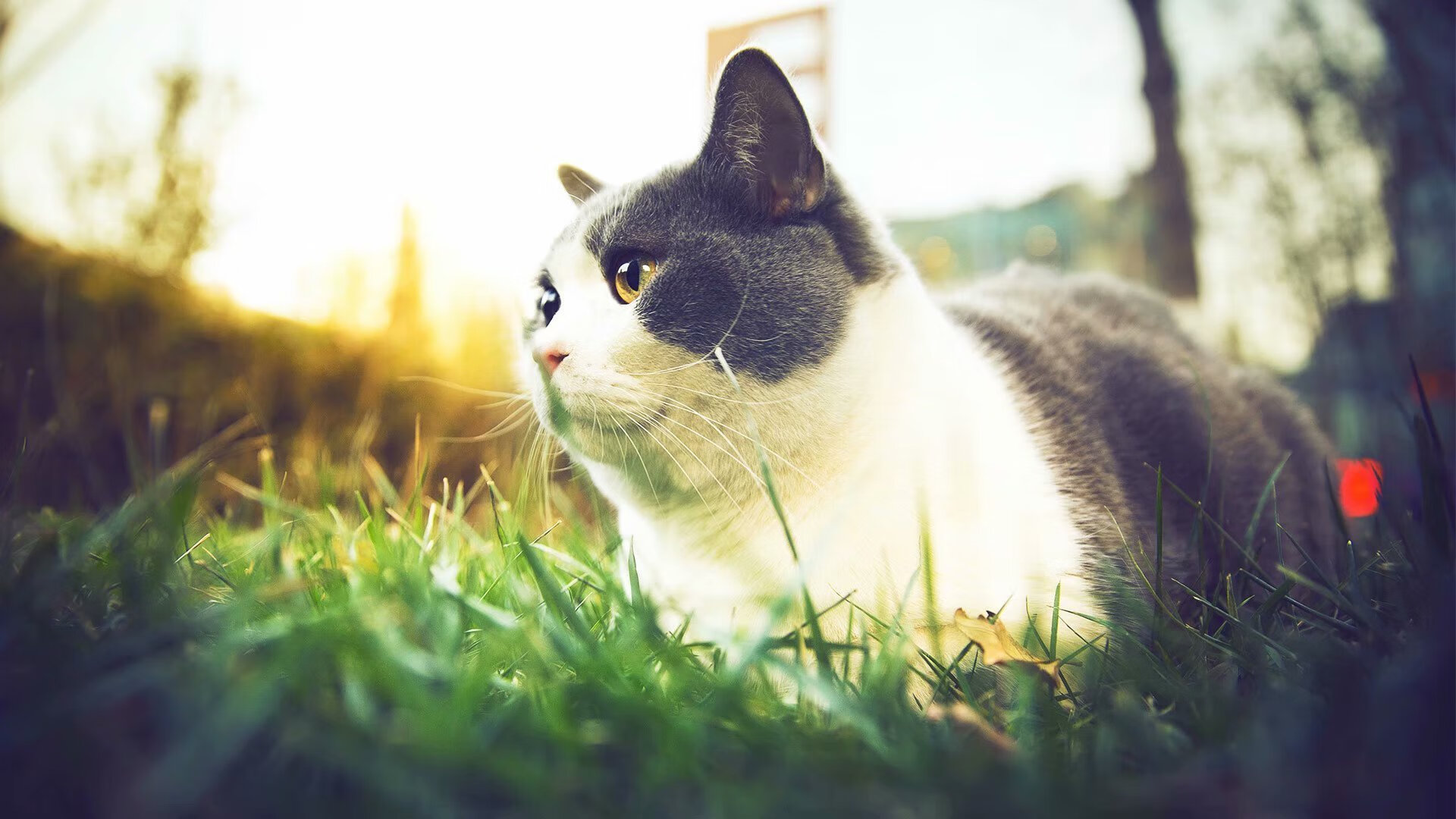 乌拉圭队整装待发，备战未来国际大赛