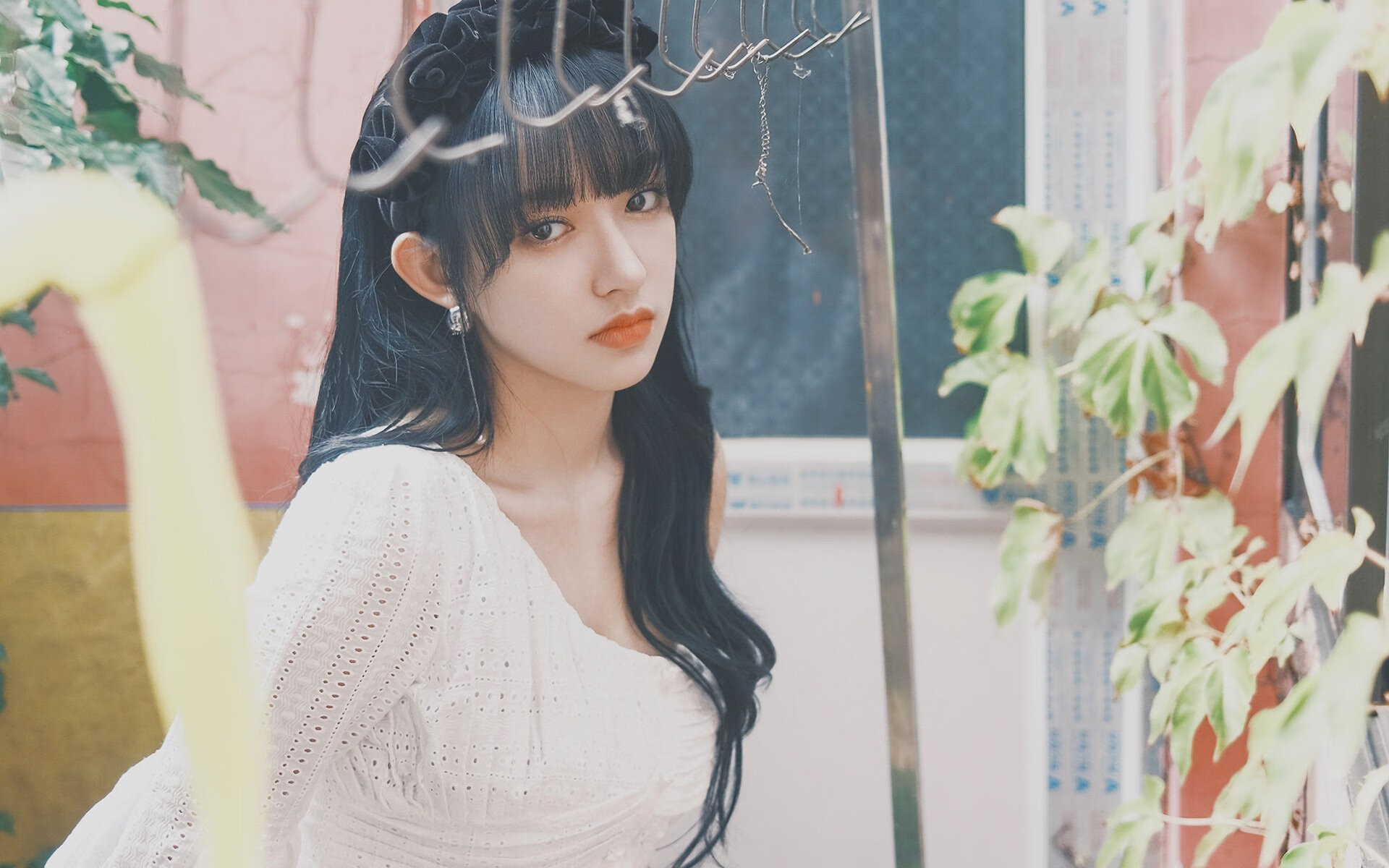 南非羚羊队:无懈可击的反击战术与高压防守让他们无可匹敌,南非羚羊角