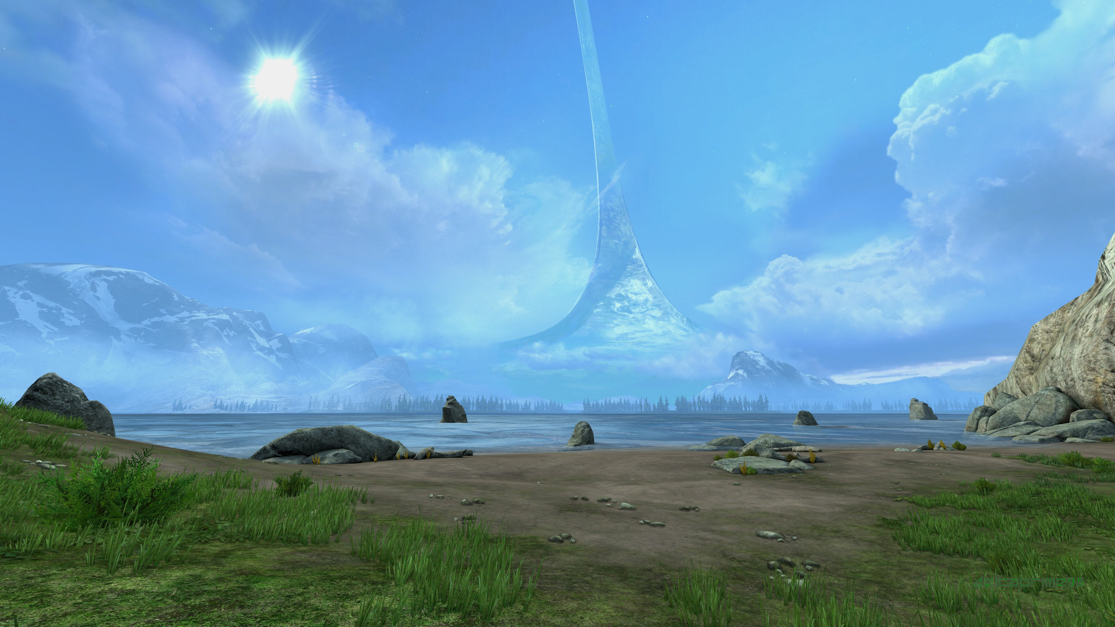 张伟丽新书发布记录格斗成长之路,张伟丽格斗图片