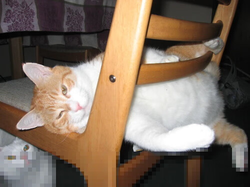 德甲极速反攻:瞬间突破,赢得胜利,德甲节奏快