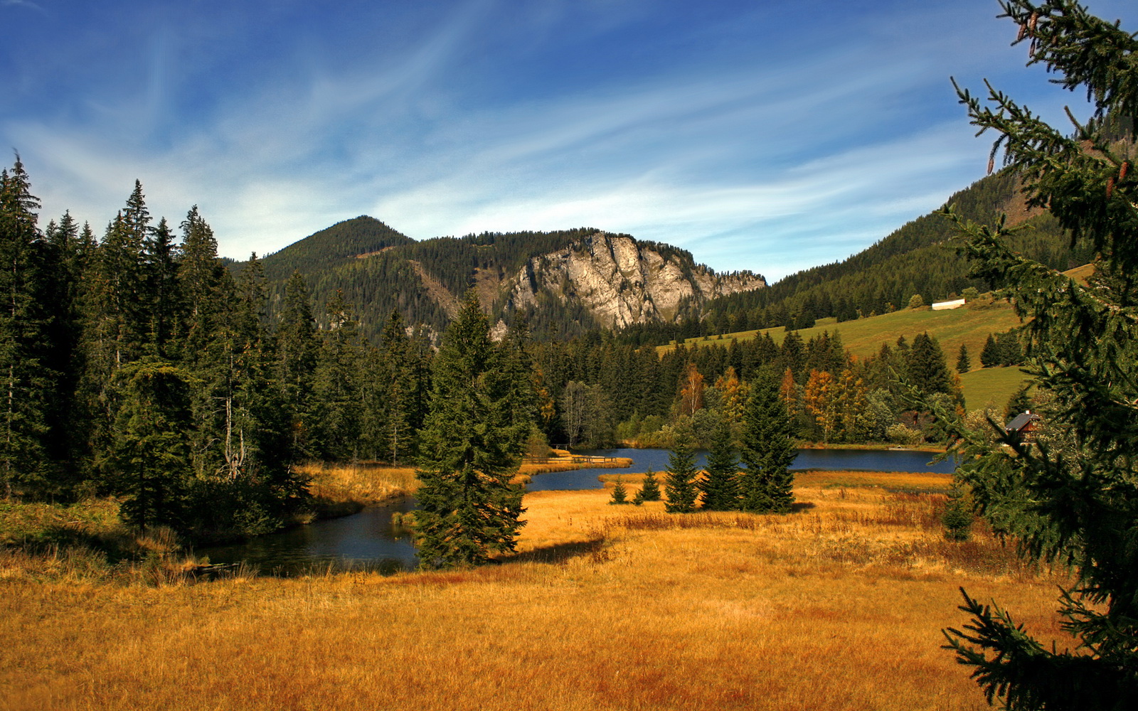 德甲速度与力量:攻防转换,令人心跳加速!,德甲冲刺速度最快球员