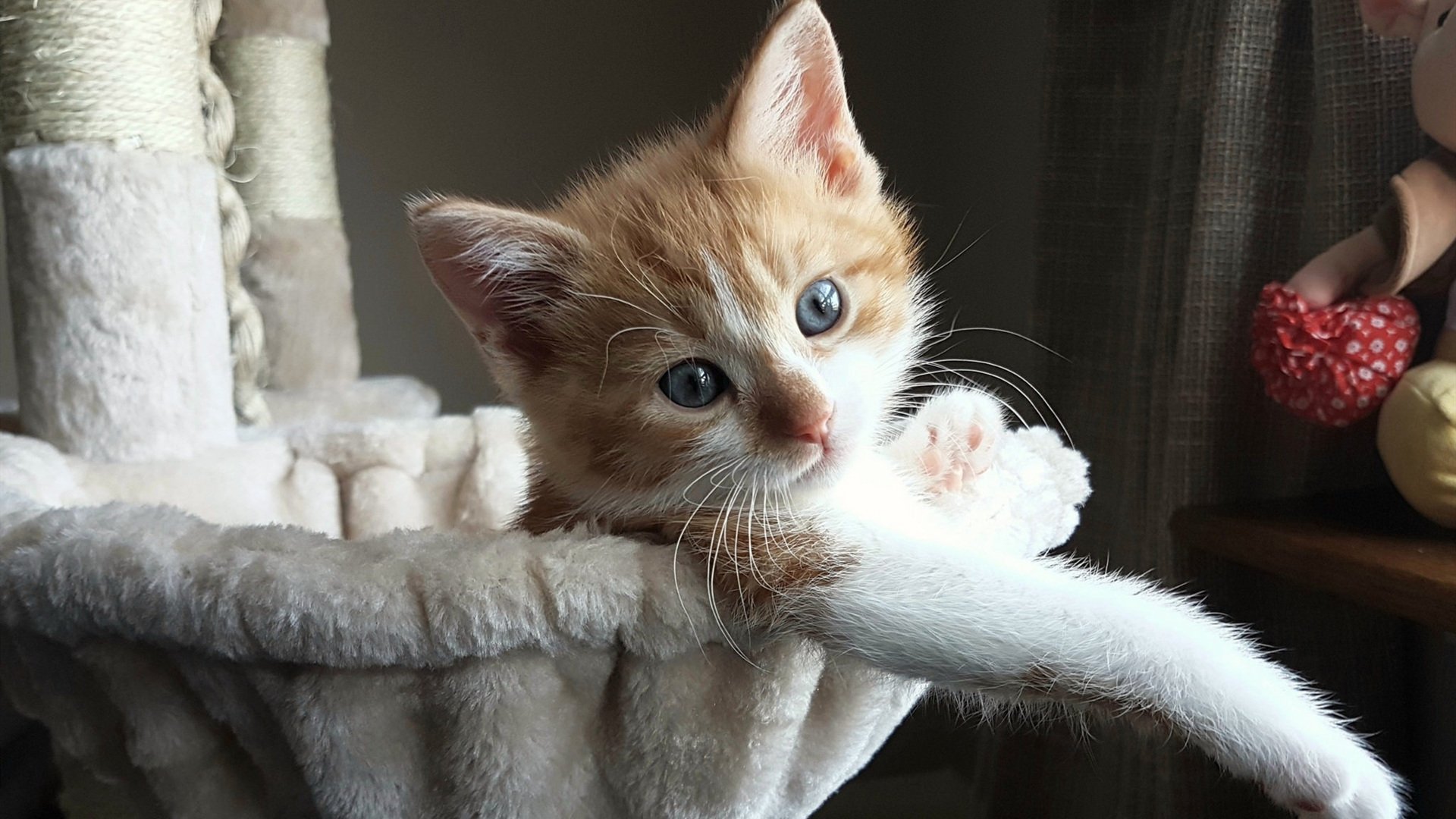 华体会官方网站登录-意甲攻势如潮：闪电突袭，令人瞠目！，二战意大利闪电师