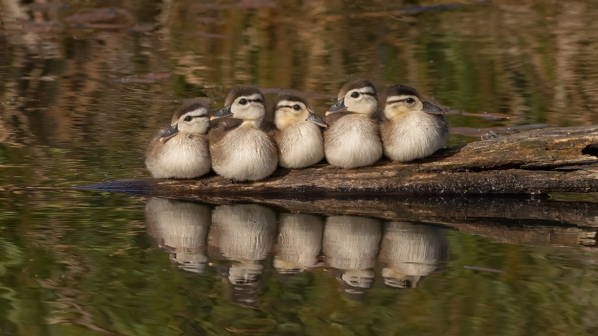李娜组织公益网球训练营覆盖多地,李娜网球训练视频