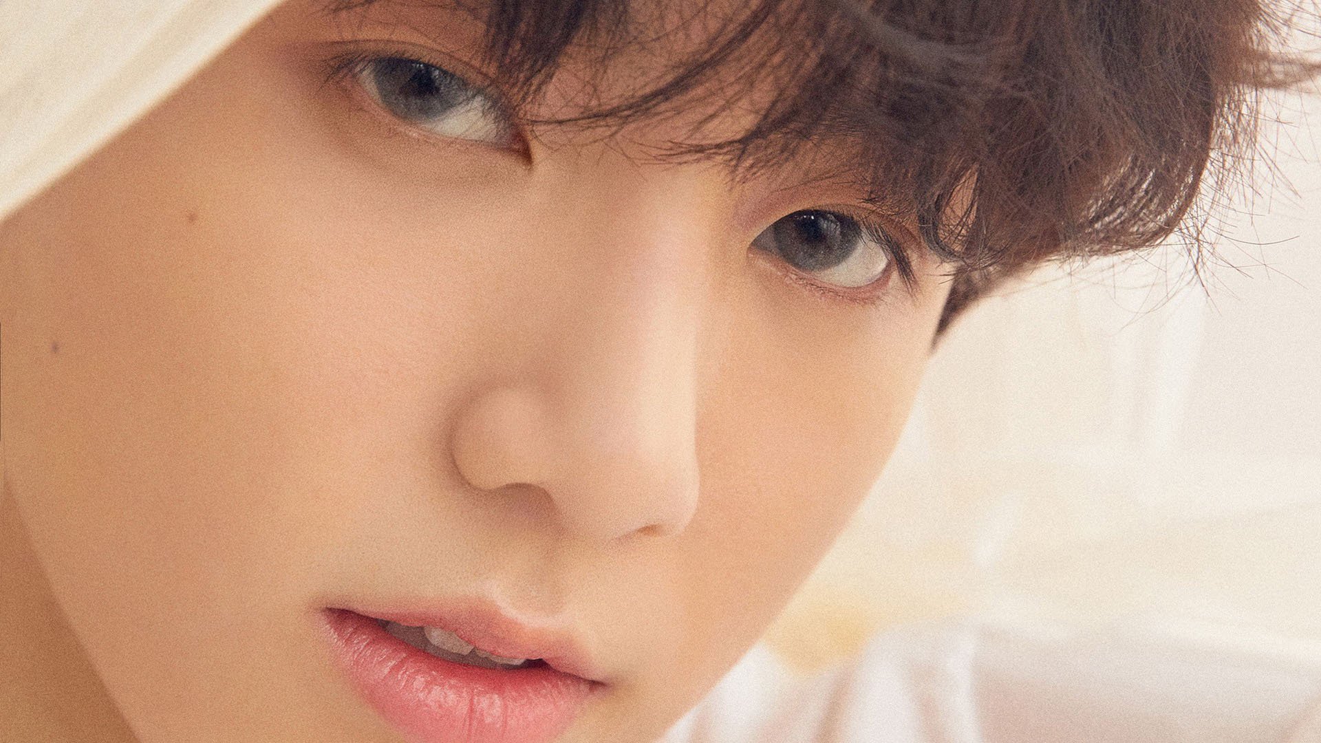 欧洲杯精彩再现:战术对决中的巅峰表现,欧洲杯各个球队技战术打法