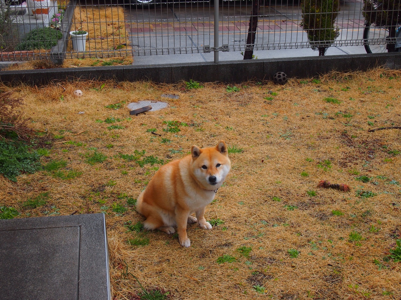 美洲杯明星齐聚:精彩表现鼓舞全场!,美洲杯著名球星