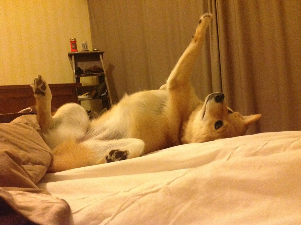 华体会app下载-英超激烈争夺，豪门纷纷奋战不息